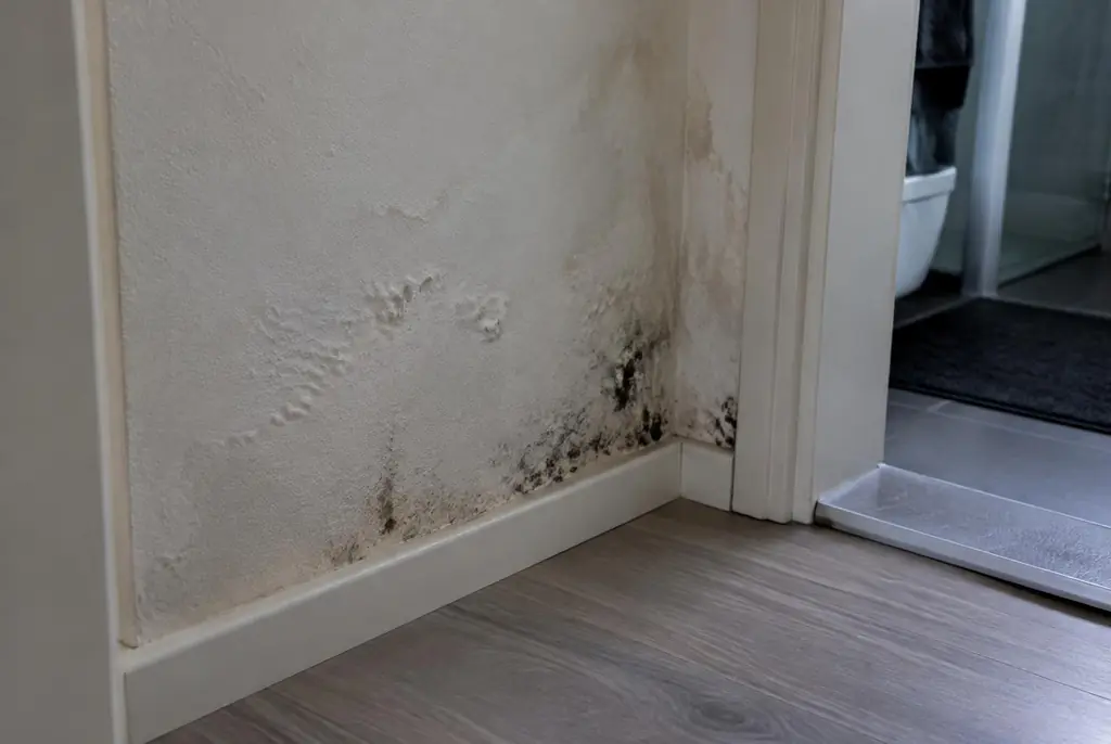 Lekdetectie Doornspijk – vochtplek met schimmel op een muur